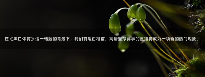 在《黑白体育》这一话题的背景下，我们有理由相信，高清篮球赛事的直播将成为一项新的热门现象。