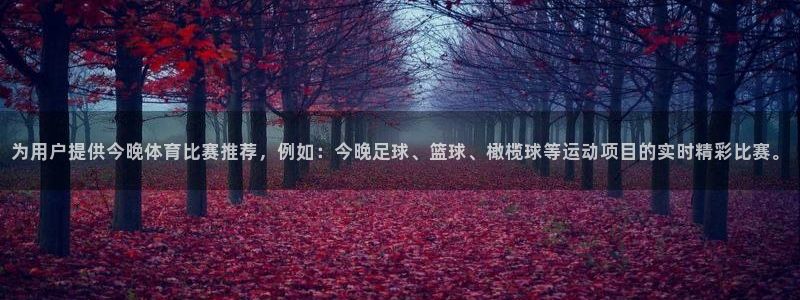 为用户提供今晚体育比赛推荐，例如：今晚足球、篮球、橄榄球等运动项目的实时精彩比赛。